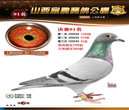 ɽ����i�Qِ91��