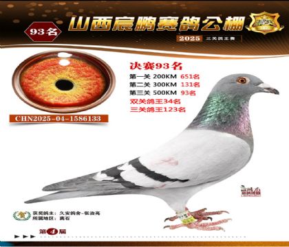 ɽ����i�Qِ93��