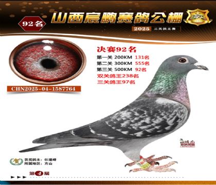 ɽ����i�Qِ92��