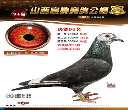 ɽ����i�Qِ94��