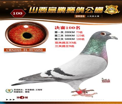 ɽ����i�Qِ100��