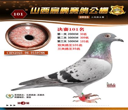 ɽ����i�Qِ101��