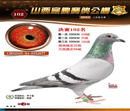 ɽ����i�Qِ102��