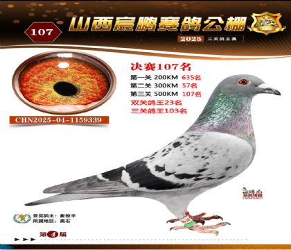 ɽ����i�Qِ107��