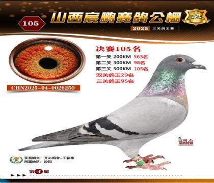 ɽ����i�Qِ105��