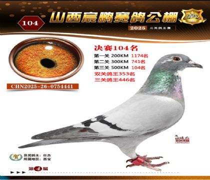 ɽ����i�Qِ104��