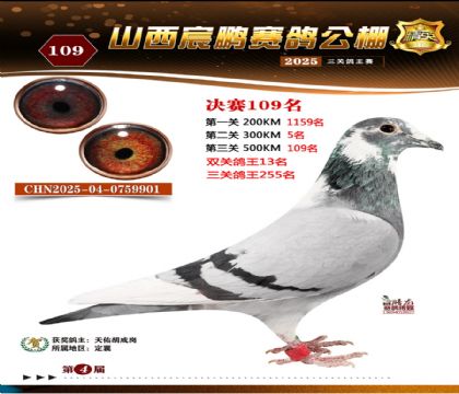 ɽ����i�Qِ109��