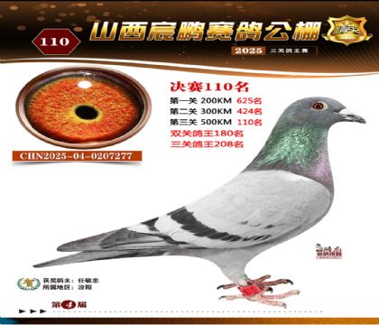 ɽ����i�Qِ110��