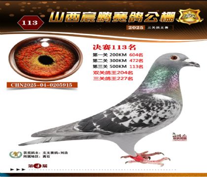 ɽ����i�Qِ113��