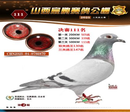 ɽ����i�Qِ111��