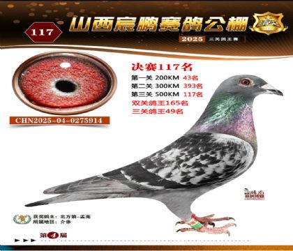 ɽ����i�Qِ117��