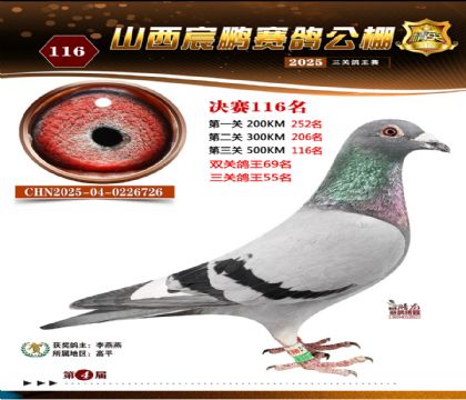 ɽ����i�Qِ116��