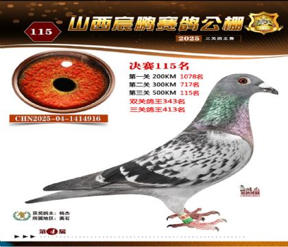 ɽ����i�Qِ115��