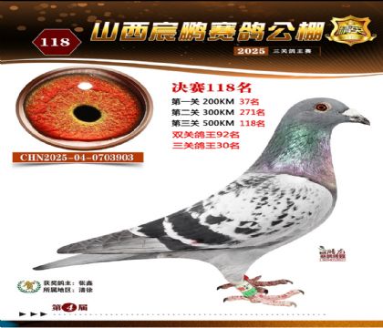 ɽ����i�Qِ118��