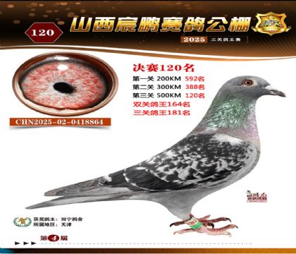 ɽ����i�Qِ120��