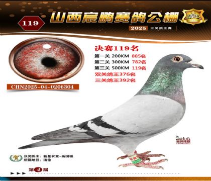 ɽ����i�Qِ119��