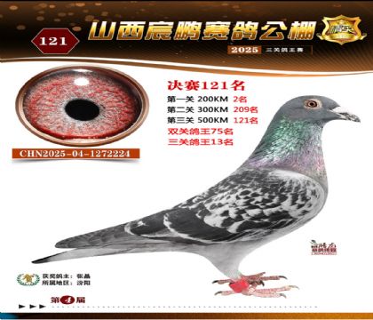 ɽ����i�Qِ121��