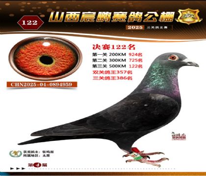 ɽ����i�Qِ122��