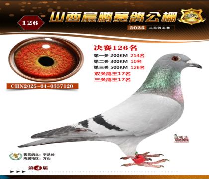 ɽ����i�Qِ126��