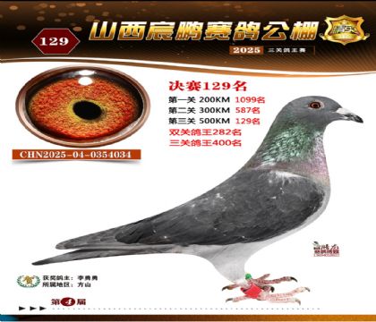 ɽ����i�Qِ129��