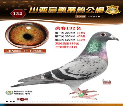 ɽ����i�Qِ132��