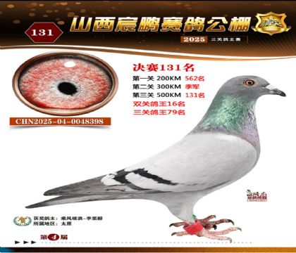 ɽ����i�Qِ131��