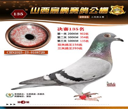 ɽ����i�Qِ135��