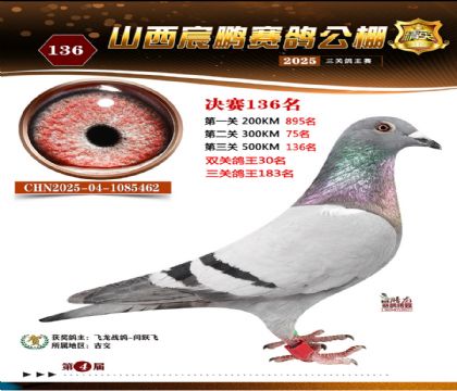 ɽ����i�Qِ136��