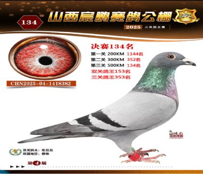 ɽ����i�Qِ134��