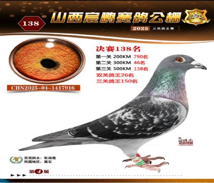 ɽ����i�Qِ138��