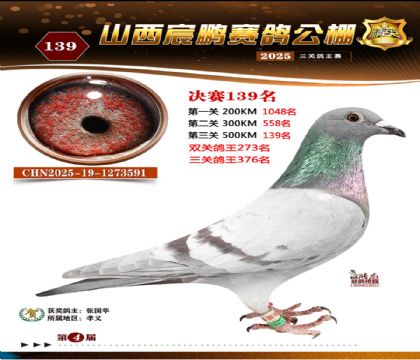 ɽ����i�Qِ139��