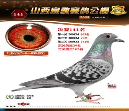 ɽ����i�Qِ141��