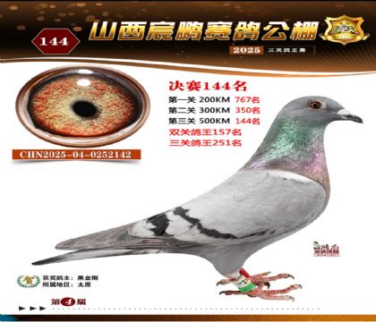 ɽ����i�Qِ144��