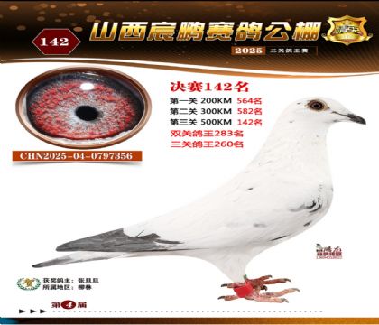 ɽ����i�Qِ142��