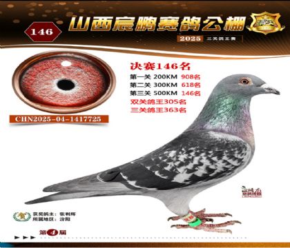 ɽ����i�Qِ146��