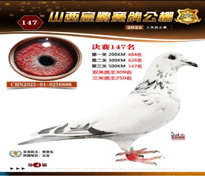 ɽ����i�Qِ147��