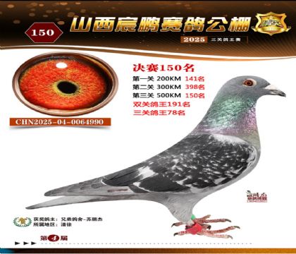 ɽ����i�Qِ150��