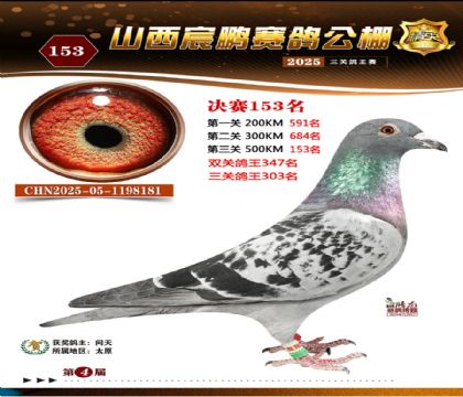 ɽ����i�Qِ153��