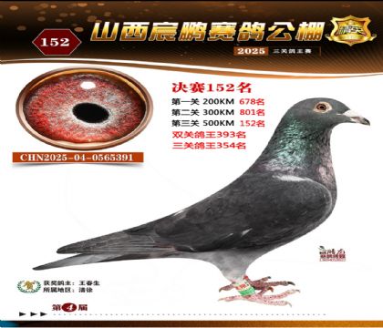 ɽ����i�Qِ152��