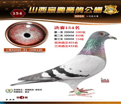 ɽ����i�Qِ154��