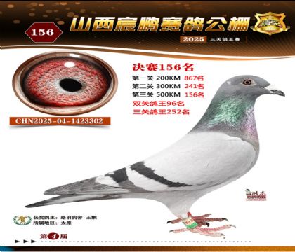 ɽ����i�Qِ156��