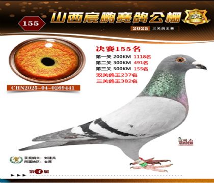 ɽ����i�Qِ155��