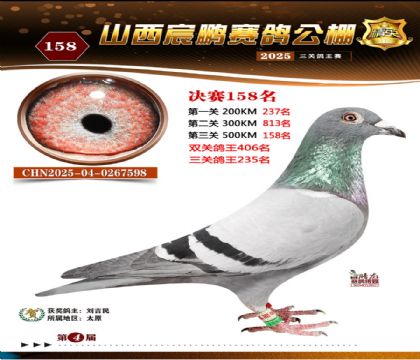 ɽ����i�Qِ158��