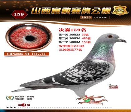 ɽ����i�Qِ159��