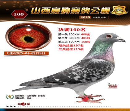 ɽ����i�Qِ160��