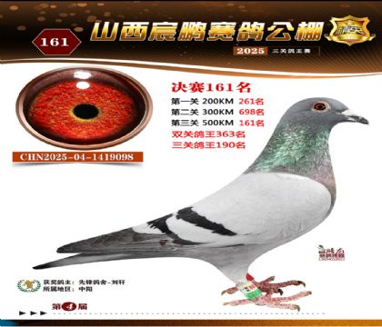 ɽ����i�Qِ161��