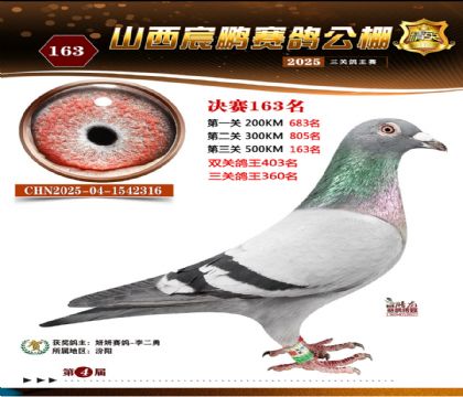 ɽ����i�Qِ163��