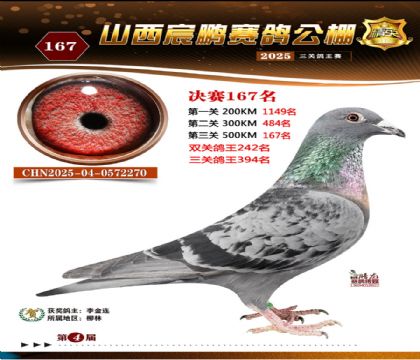 ɽ����i�Qِ167��