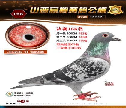 ɽ����i�Qِ166��