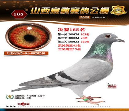 ɽ����i�Qِ165��